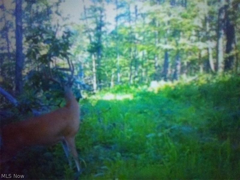 8155 Westfall Street SE, East Canton, OH 44730 Photo 15