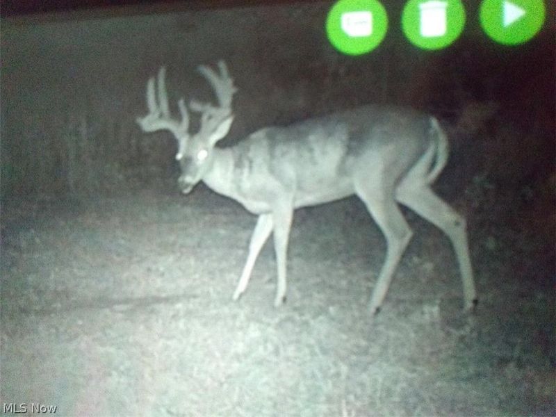 8155 Westfall Street SE, East Canton, OH 44730 Photo 16