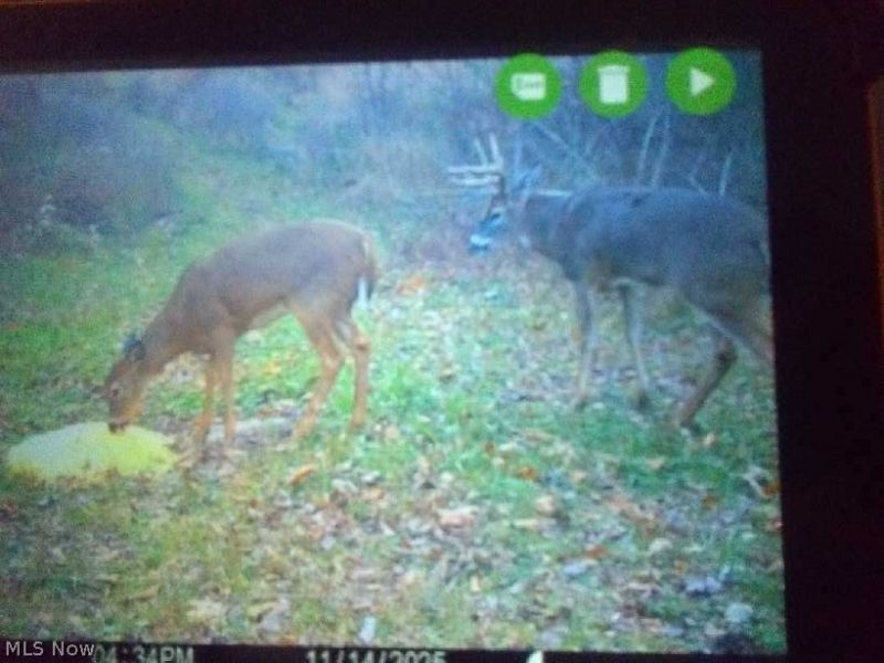 8155 Westfall Street SE, East Canton, OH 44730 Photo 21