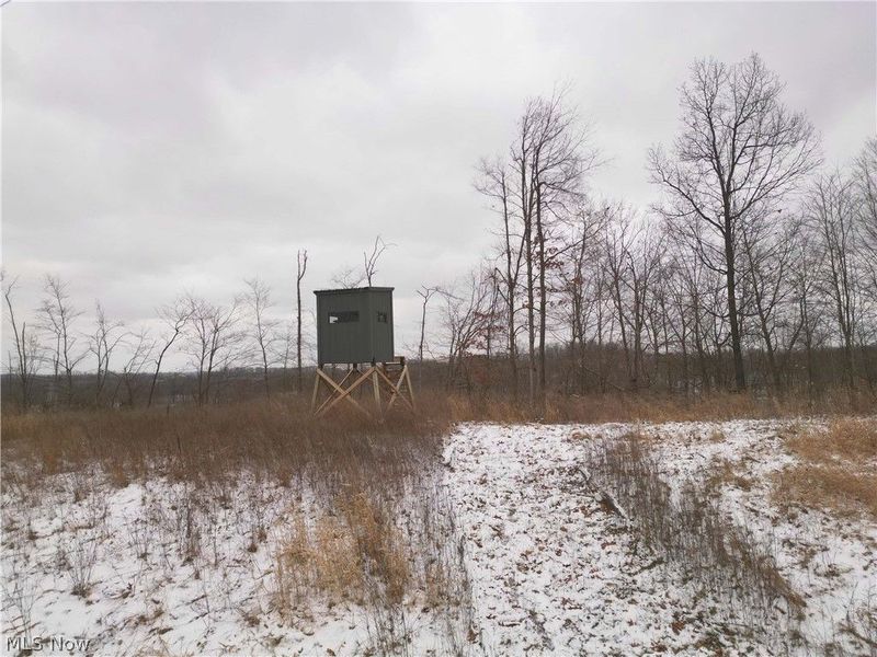 8155 Westfall Street SE, East Canton, OH 44730 Photo 27