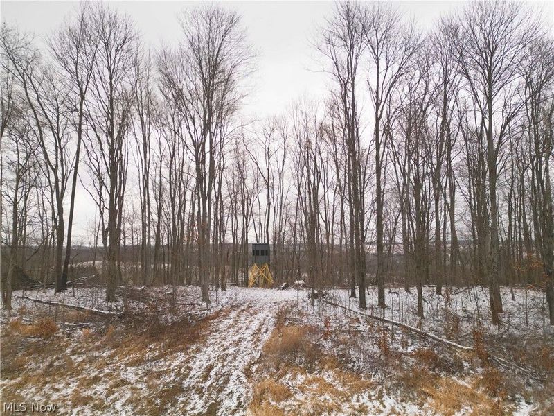 8155 Westfall Street SE, East Canton, OH 44730 Photo 28