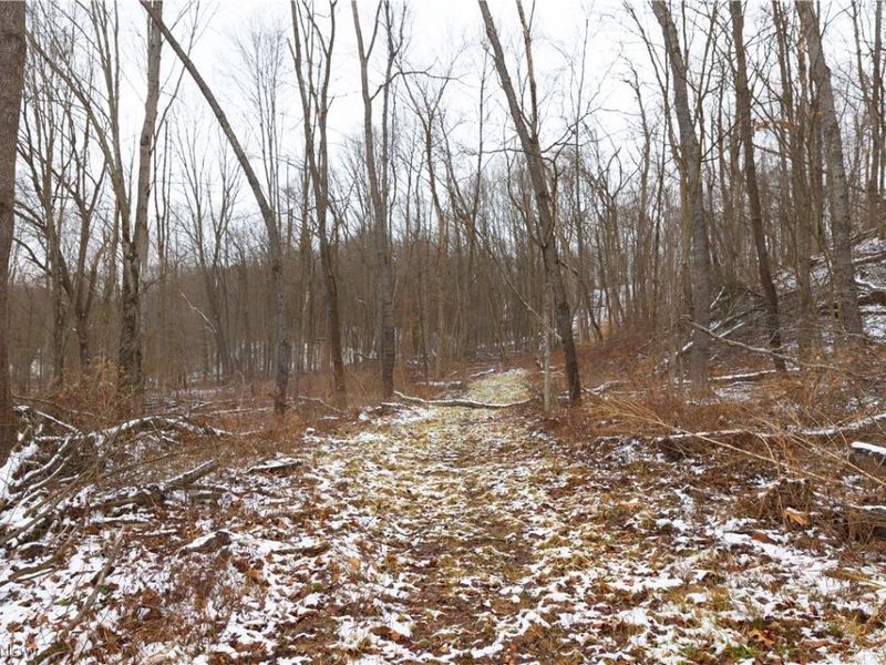 8155 Westfall Street SE, East Canton, OH 44730 Photo 32