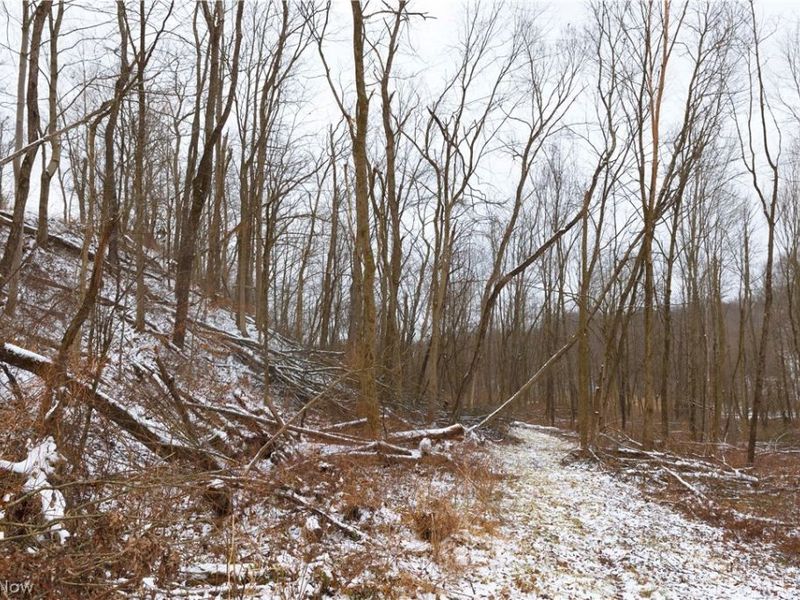 8155 Westfall Street SE, East Canton, OH 44730 Photo 33