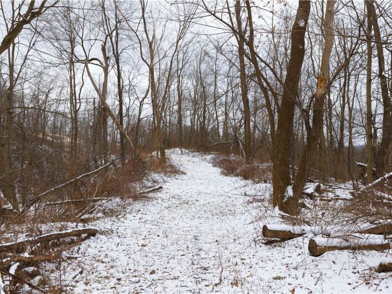 8155 Westfall Street SE, East Canton, OH 44730 Photo 34