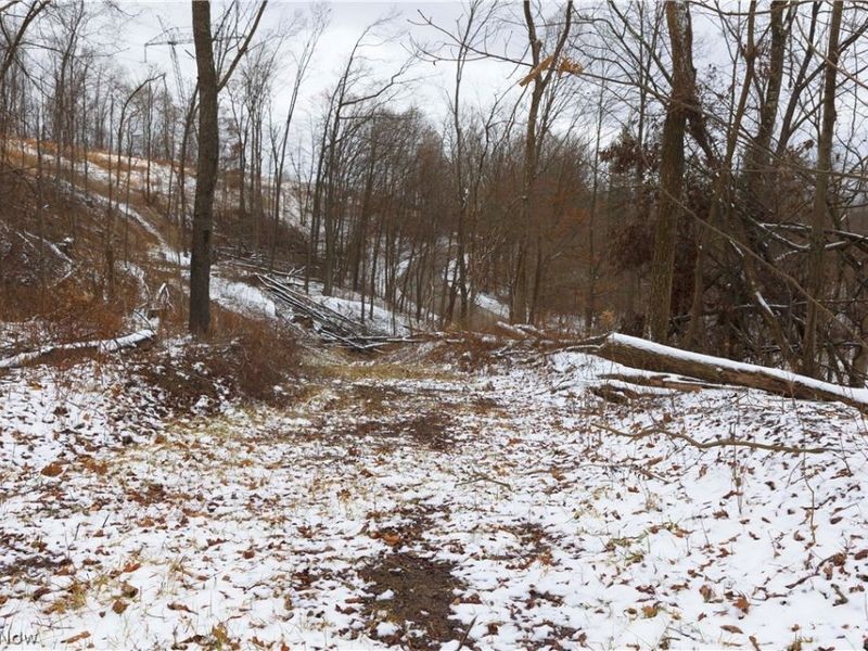 8155 Westfall Street SE, East Canton, OH 44730 Photo 35