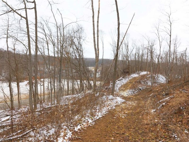 8155 Westfall Street SE, East Canton, OH 44730 Photo 36