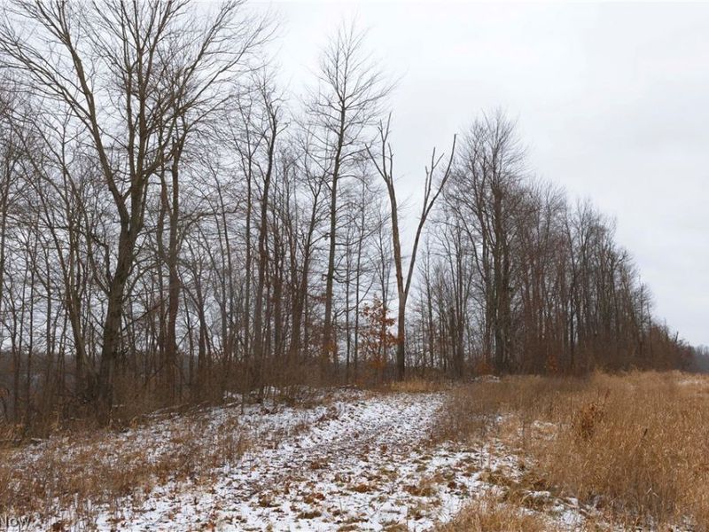 8155 Westfall Street SE, East Canton, OH 44730 Photo 37