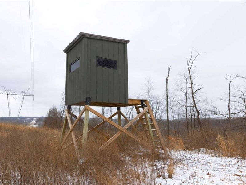 8155 Westfall Street SE, East Canton, OH 44730 Photo 38