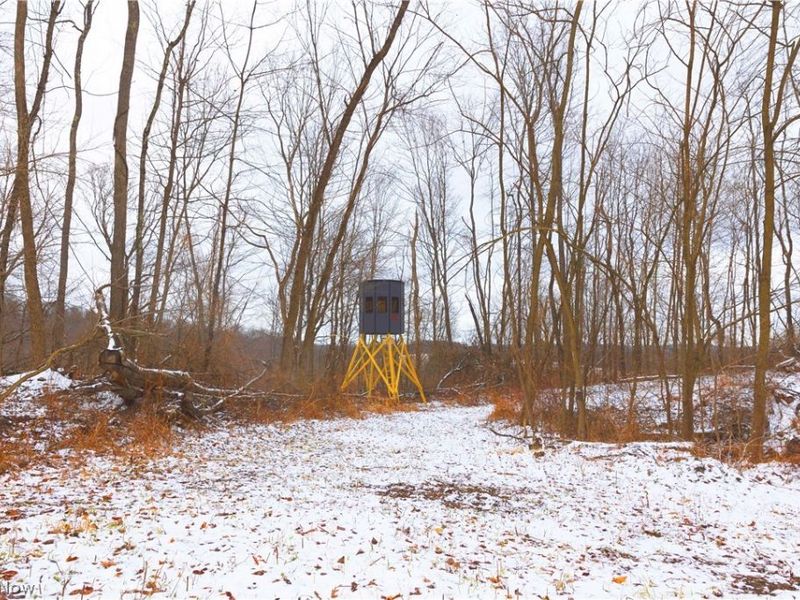 8155 Westfall Street SE, East Canton, OH 44730 Photo 39