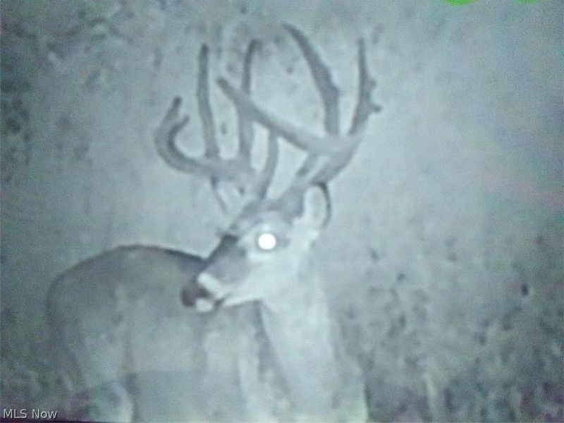 8155 Westfall Street SE, East Canton, OH 44730 Photo 4