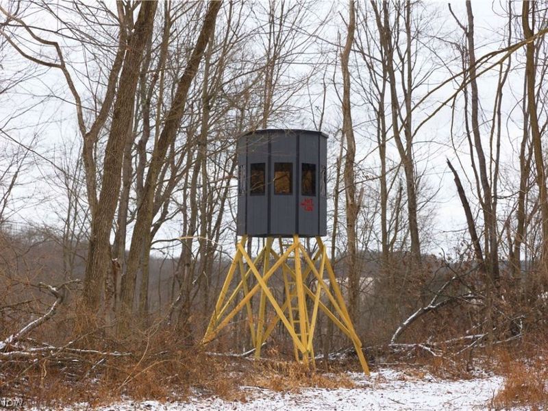 8155 Westfall Street SE, East Canton, OH 44730 Photo 40