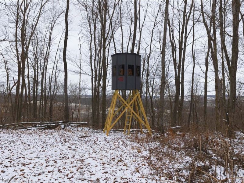 8155 Westfall Street SE, East Canton, OH 44730 Photo 42