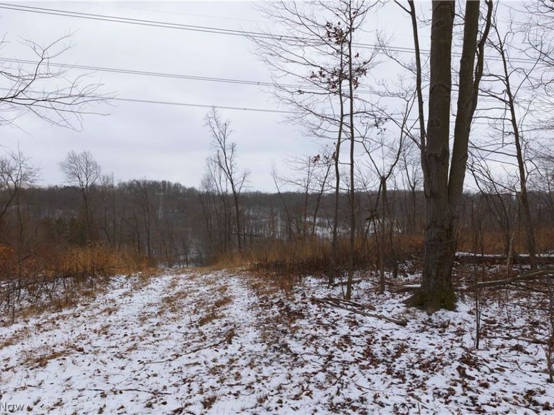 8155 Westfall Street SE, East Canton, OH 44730 Photo 43