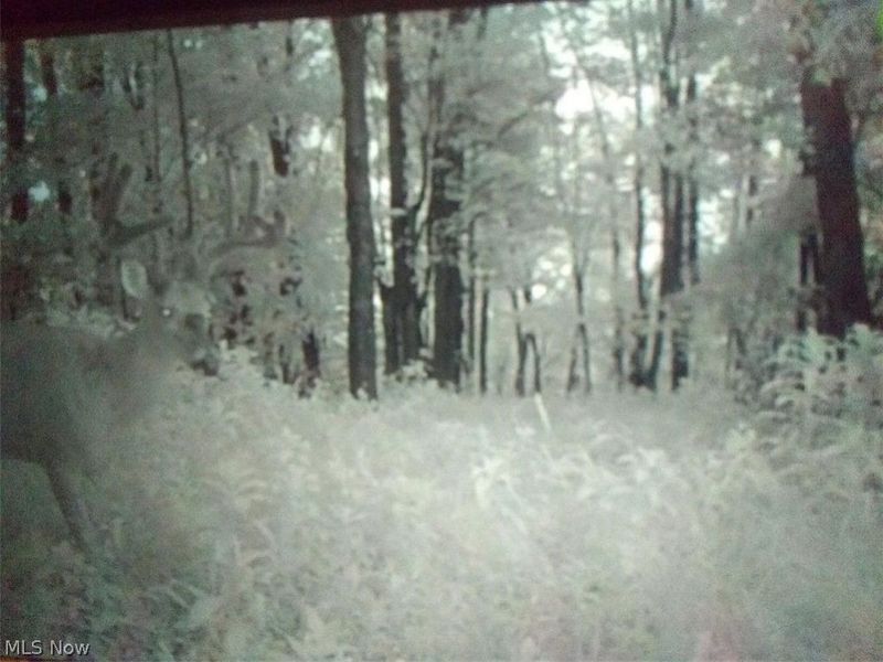 8155 Westfall Street SE, East Canton, OH 44730 Photo 6