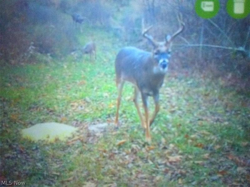 8155 Westfall Street SE, East Canton, OH 44730 Photo 8