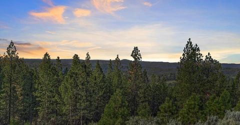 5901 Traverse Creek Rd, Garden Valley, CA 95633 Photo