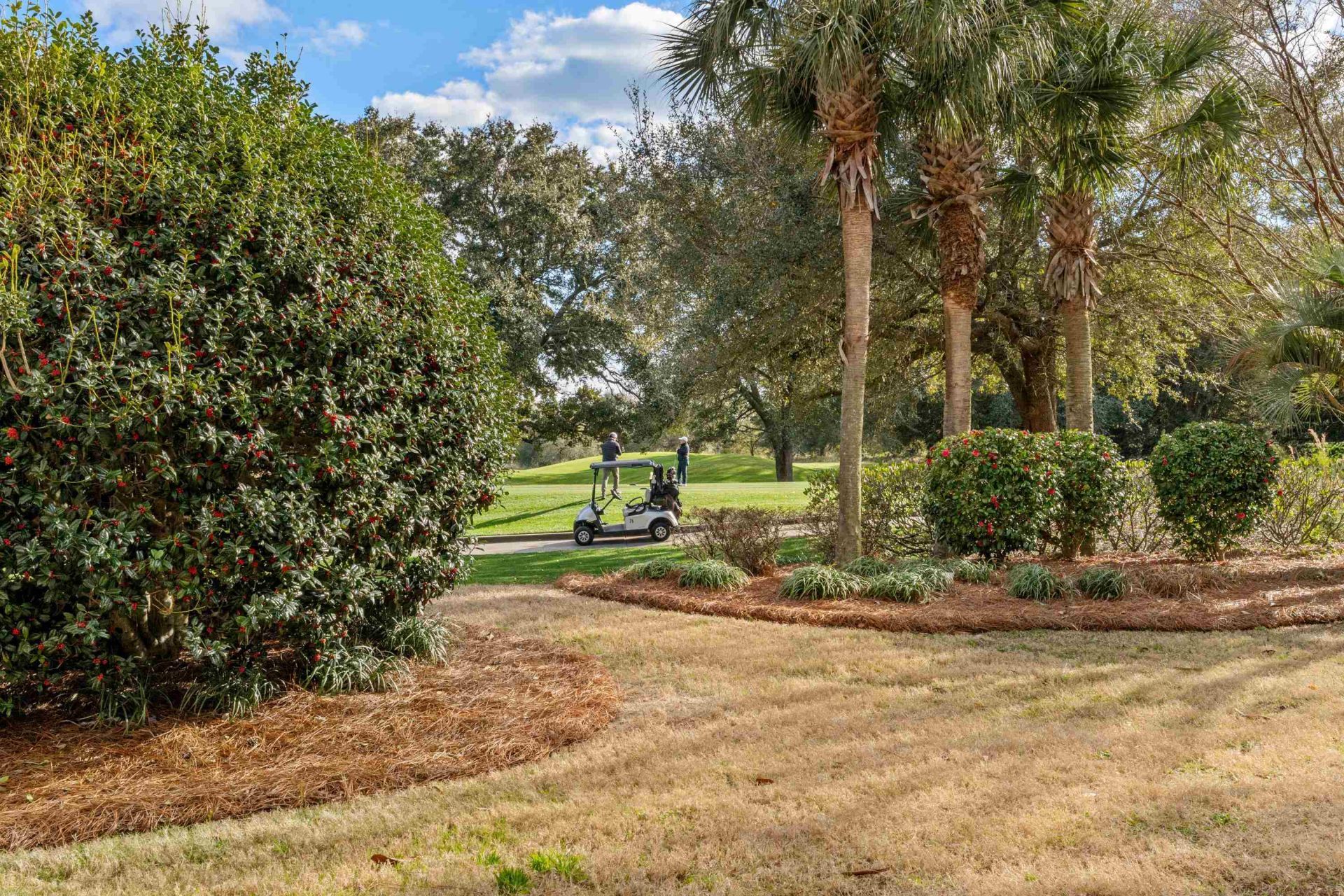 8546 San Marcello Dr. Photo 42