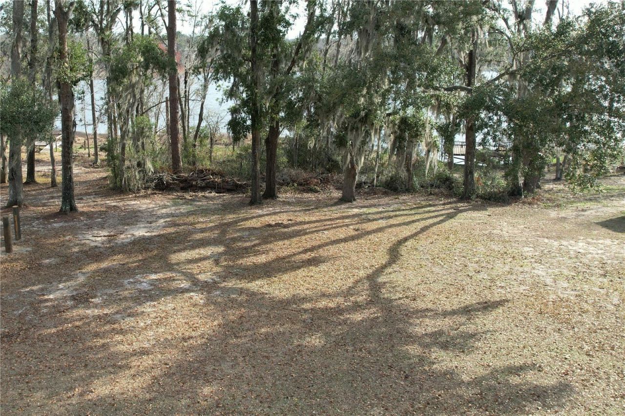 00 NW Bur Oak Place, Jennings, FL 32053 Photo