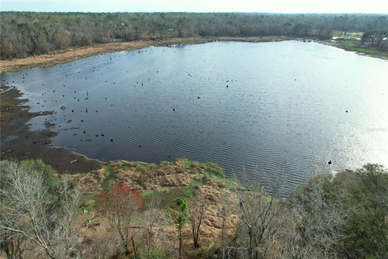 00 NW Bur Oak Place, Jennings, FL 32053 Photo