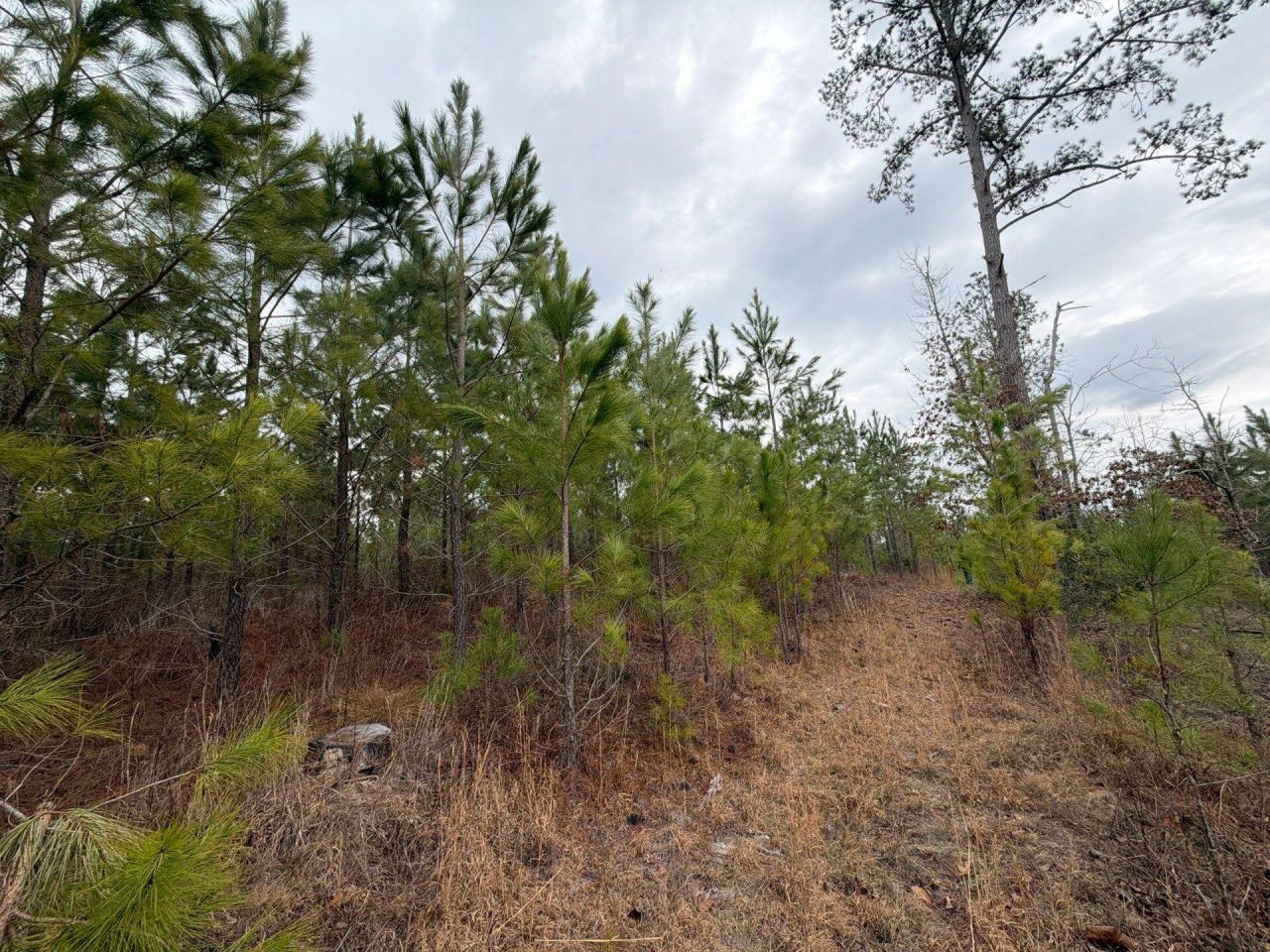 Bff II 3 J C Barefoot Road Photo 10