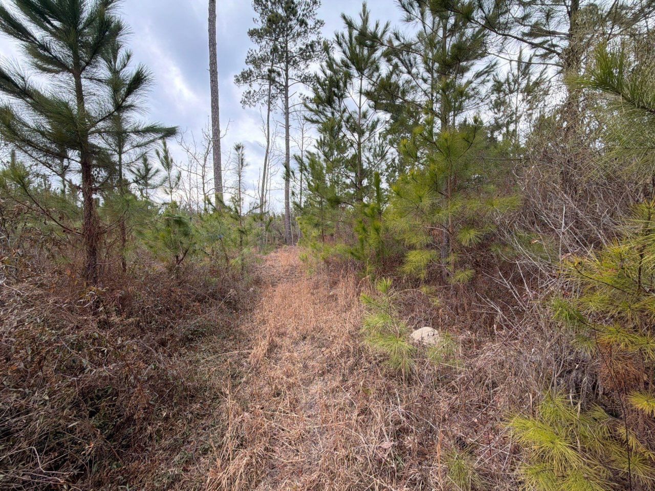 Bff II 3 J C Barefoot Road Photo 13