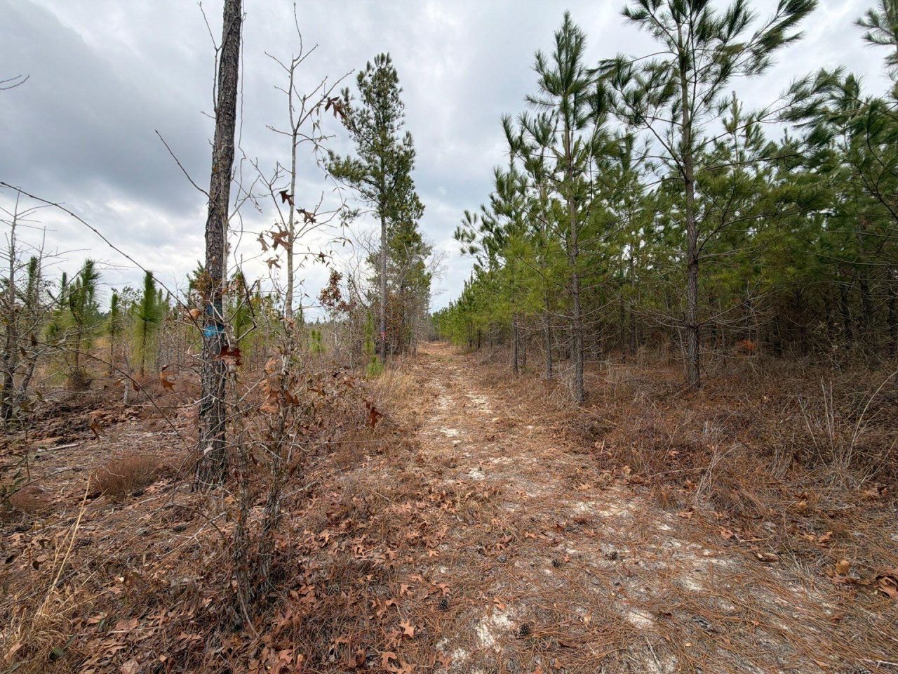 Bff II 3 J C Barefoot Road Photo 16