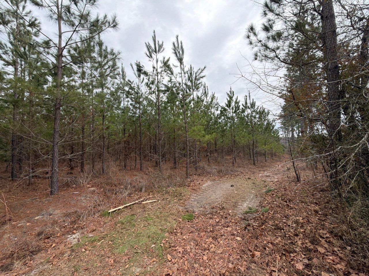 Bff II 3 J C Barefoot Road Photo 17