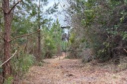 Bff II 3 J C Barefoot Road photo 4