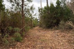 Bff II 3 J C Barefoot Road photo 4