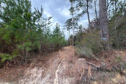 Bff II 3 J C Barefoot Road photo 4