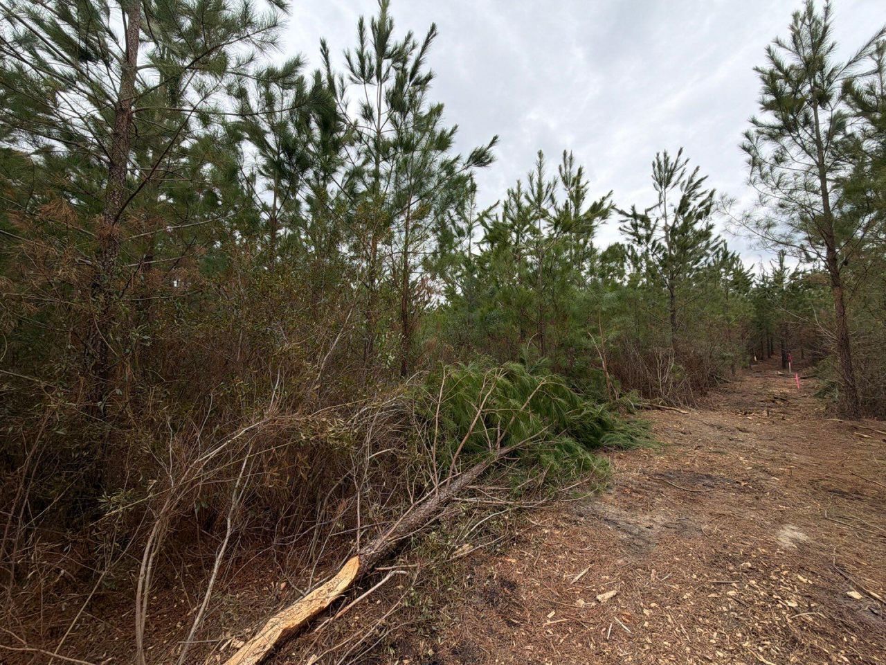 Bff II 3 J C Barefoot Road Photo 7