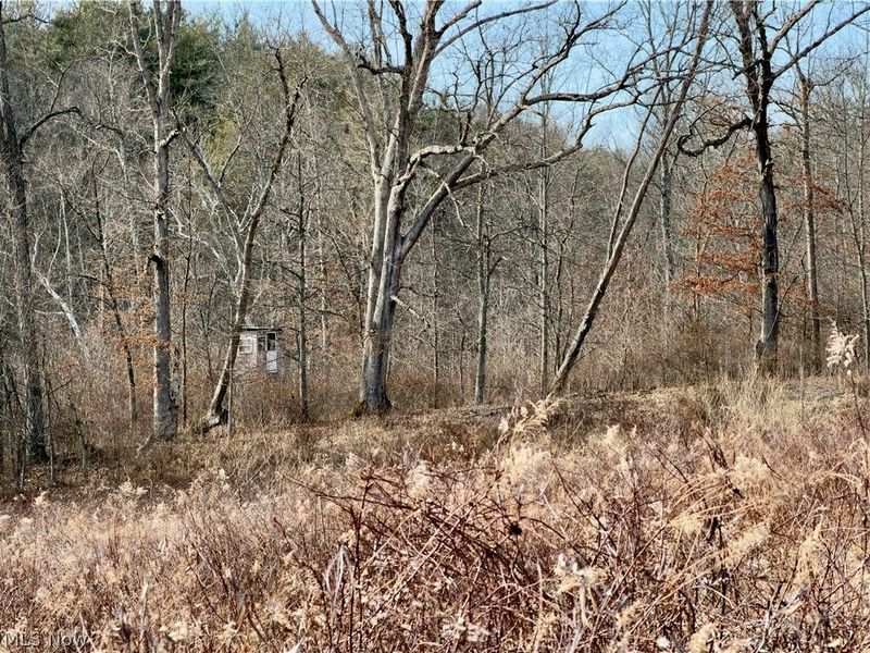 17377 Murphy Road, Amesville, OH 45711 Photo 42