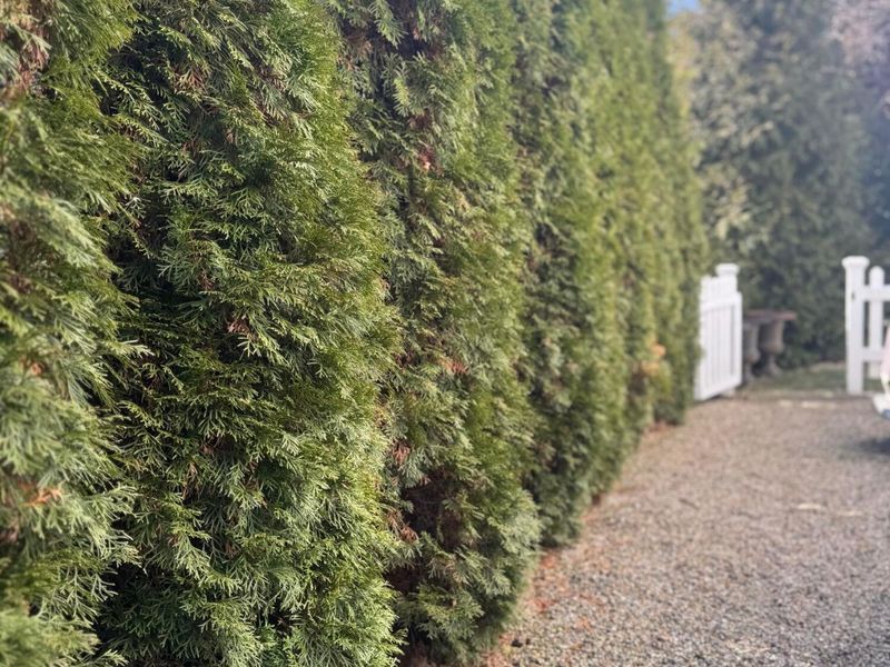 235 E Elm Street, Granville, OH 43023 Photo 43