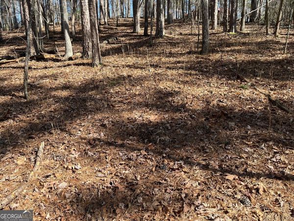 630 N Armor Way, Ellijay, GA 30540