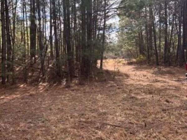 10 Acres Scott Road, Pollocksville, NC 28573
