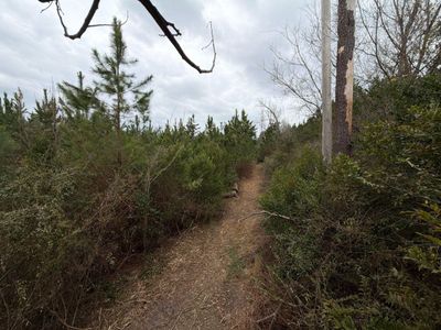 Bff Ii 4 J C Barefoot Road, Patrick, SC 29584