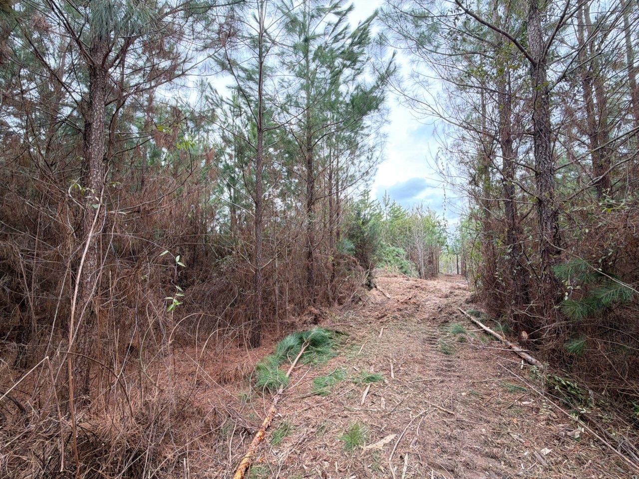 Bff II 4 J C Barefoot Road Photo 11