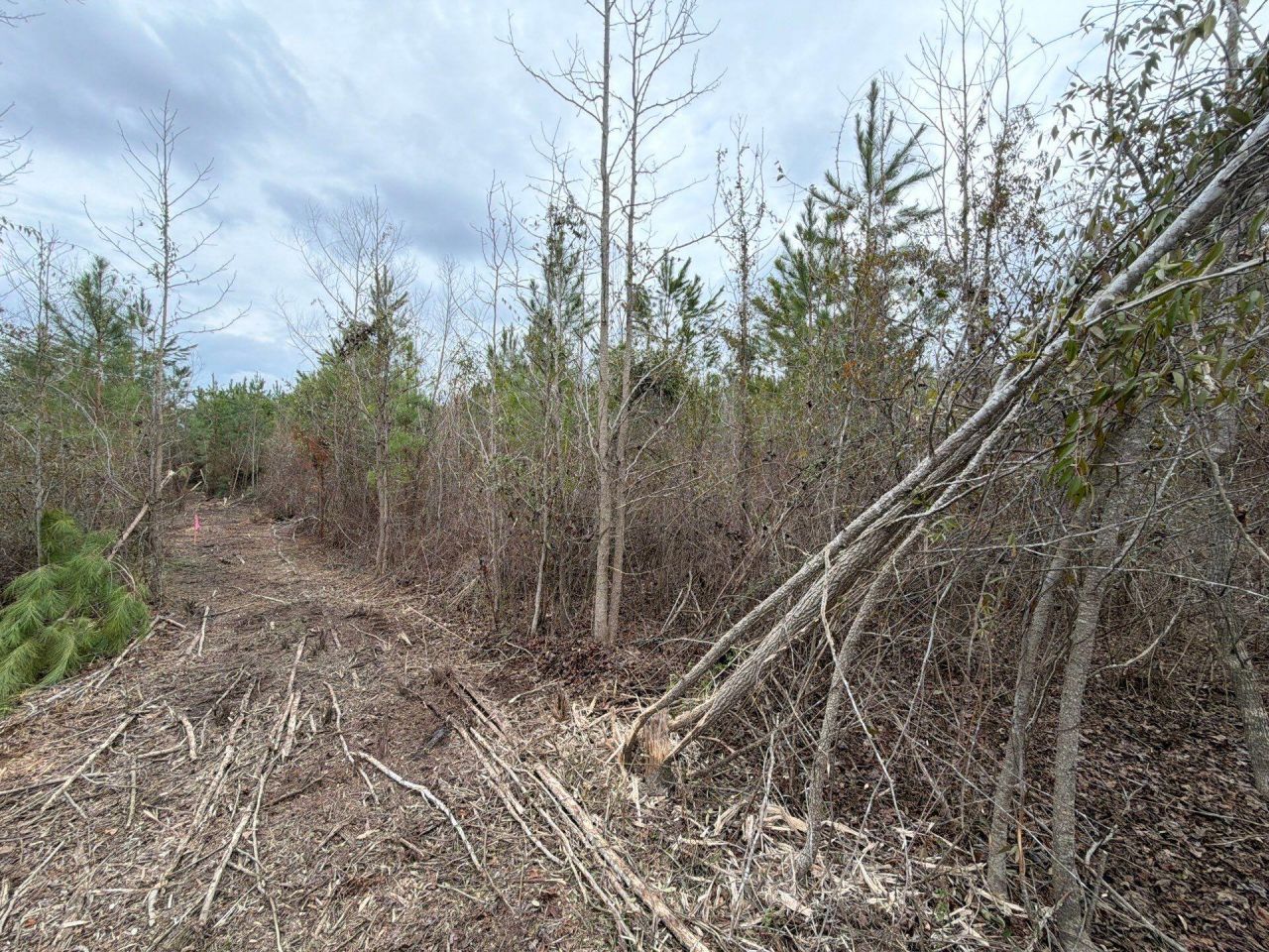 Bff II 4 J C Barefoot Road Photo 13