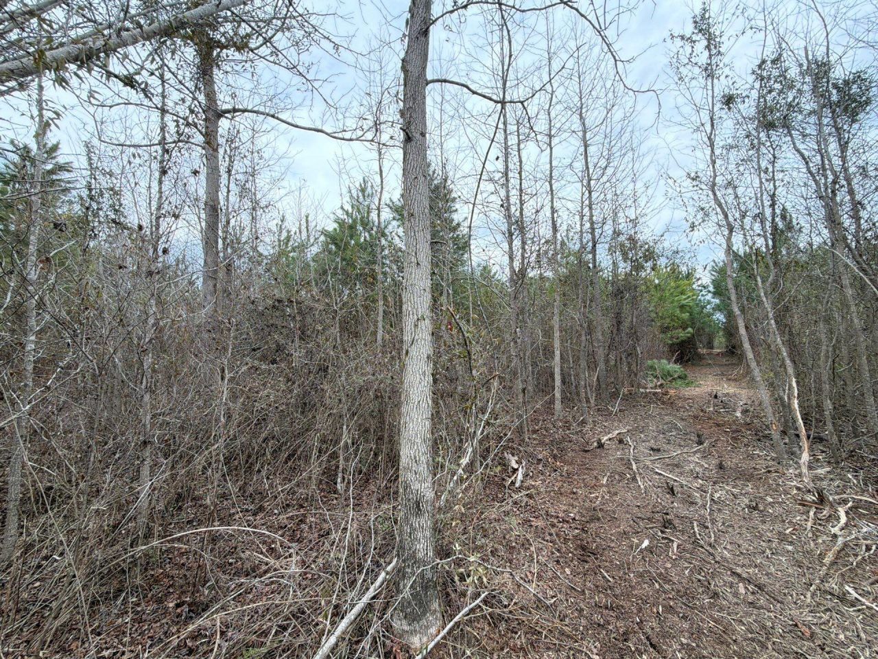 Bff II 4 J C Barefoot Road Photo 14