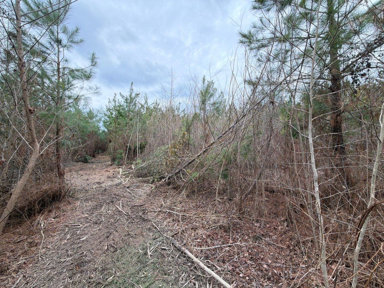 Bff II 4 J C Barefoot Road Photo 15