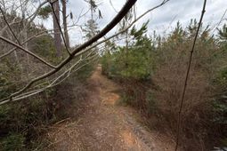 Bff II 4 J C Barefoot Road photo 4