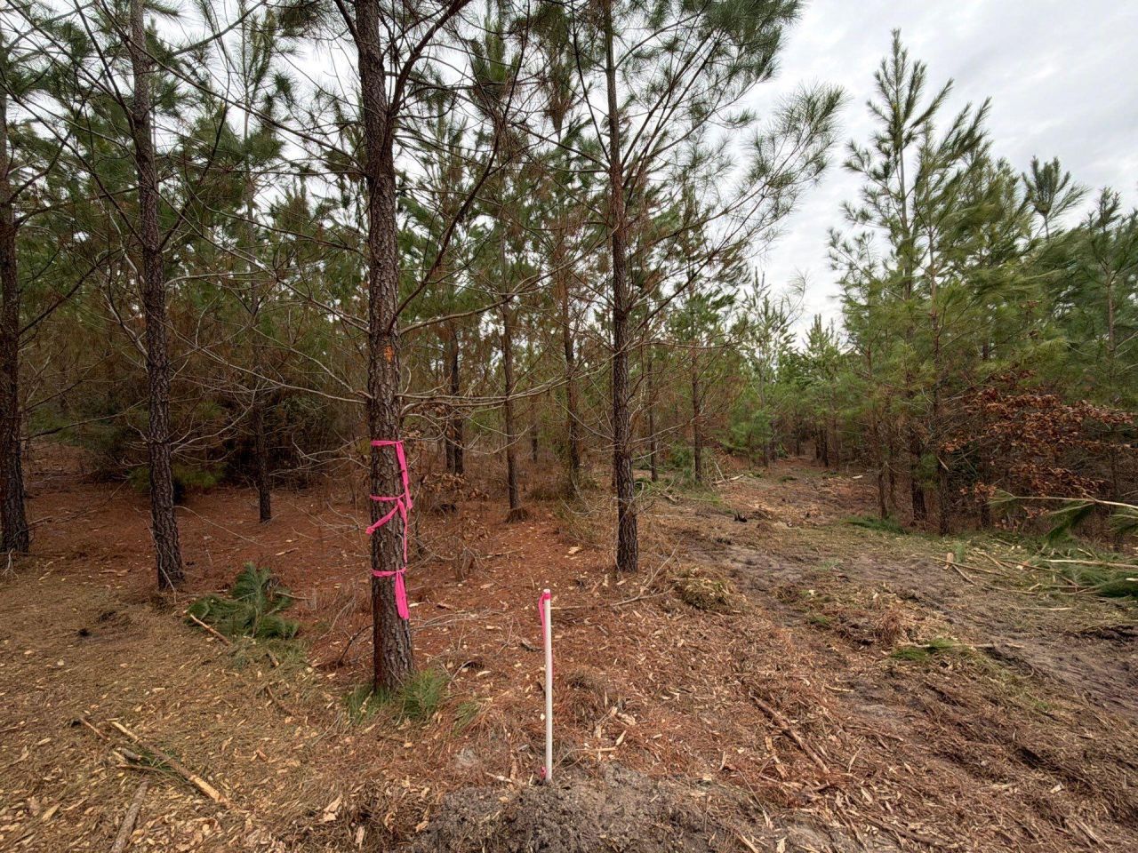 Bff II 4 J C Barefoot Road Photo 21