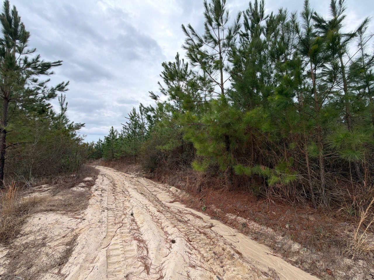 Bff II 4 J C Barefoot Road Photo 4