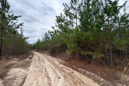 Bff II 4 J C Barefoot Road photo 4