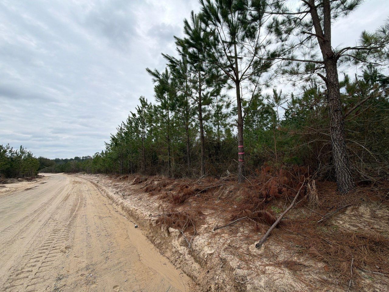 Bff II 4 J C Barefoot Road Photo 5