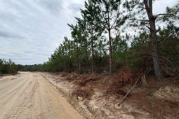 Bff II 4 J C Barefoot Road photo 4