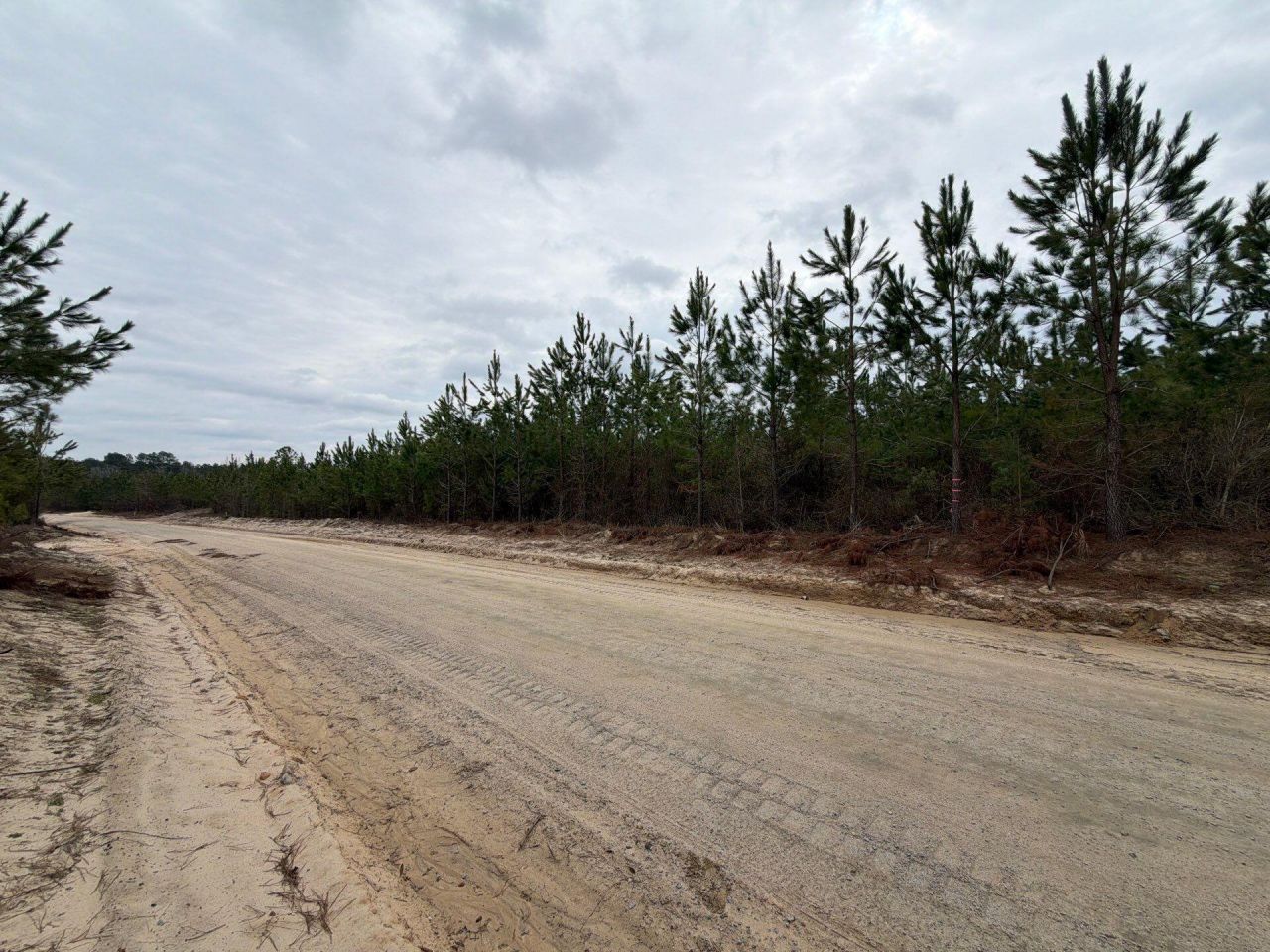 Bff II 4 J C Barefoot Road Photo 6