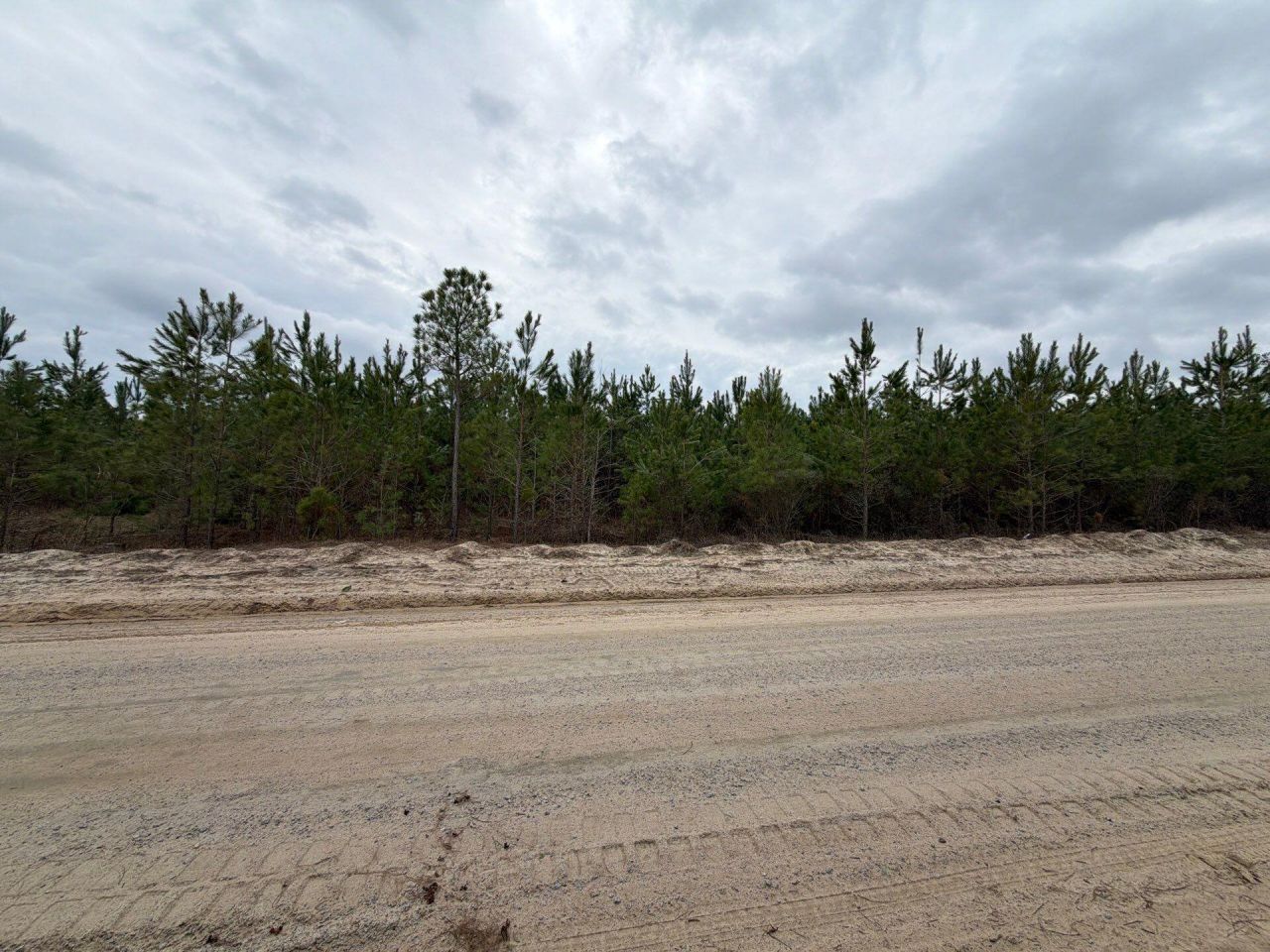 Bff II 4 J C Barefoot Road Photo 7