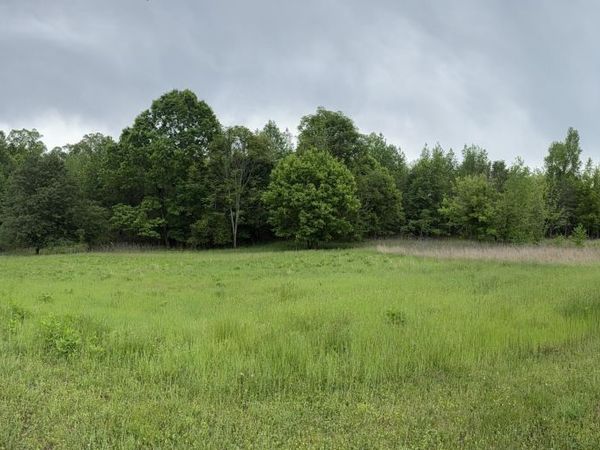 114 Meadow Lane, Harriman, TN 37748