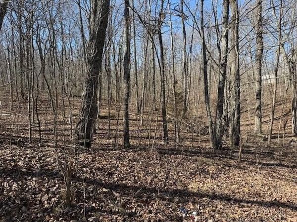 Lot 11b Shadowland Drive, Graysville, TN 37338